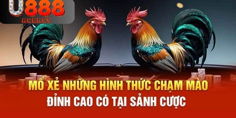 Một vài hình thức chọi đáng theo dõi tại nhà cái U888