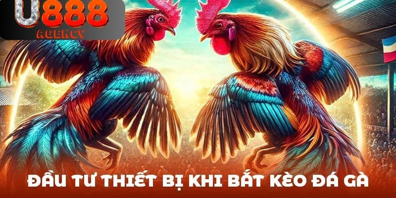 Đầu tư trang thiết bị khi trải nghiệm bắt kèo đá gà U888