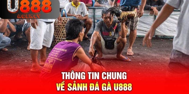 Đôi nét đá gà tại U888