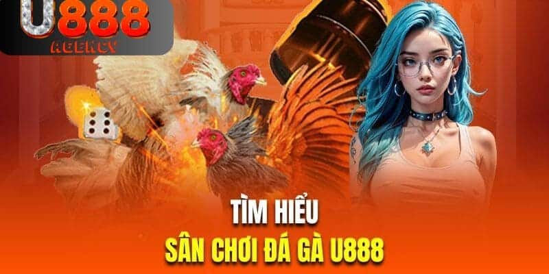 Chọn hình thức chọi phù hợp khi tham gia bắt kèo đá gà