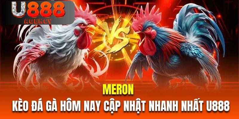 Meron là kèo đá gà hôm nay cập nhật nhanh nhất tại U888