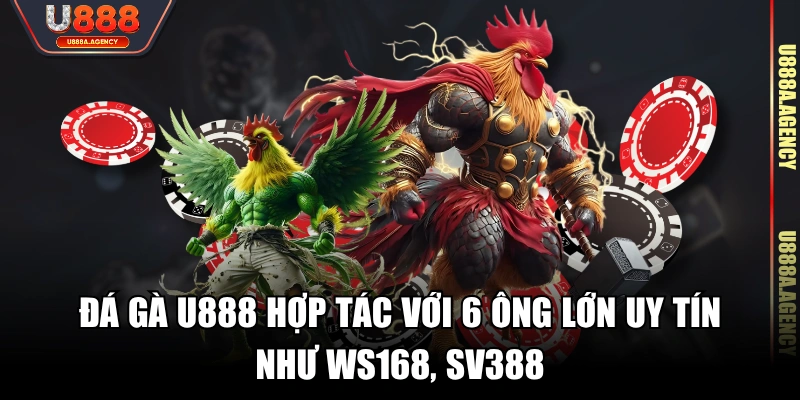 Đá gà U888 hợp tác với 6 ông lớn uy tín như WS168, SV388
