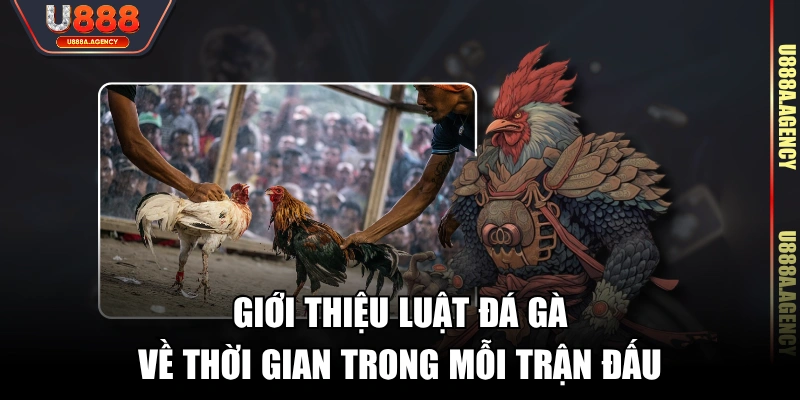 Giới thiệu luật đá gà về thời gian trong mỗi trận đấu