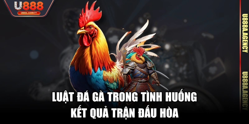 Luật đá gà trong tình huống kết quả trận đấu hòa