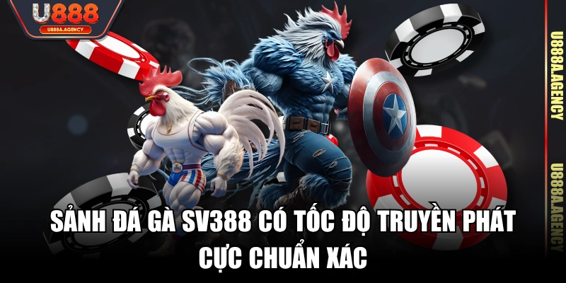 Sảnh đá gà SV388 có tốc độ truyền phát cực chuẩn xác