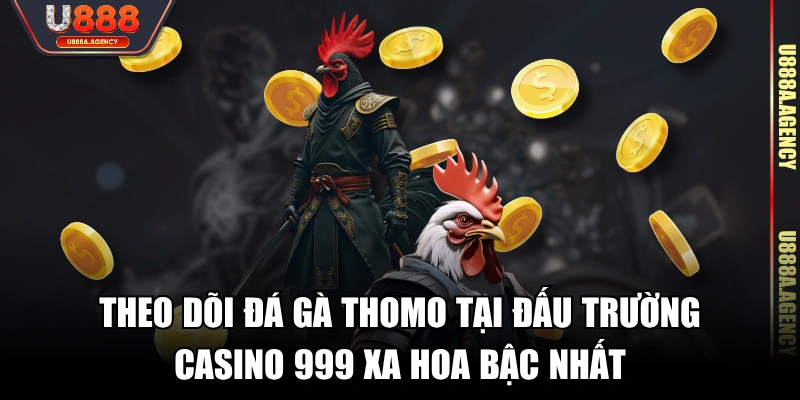 Theo dõi đá gà Thomo tại đấu trường Casino 999 xa hoa bậc nhất