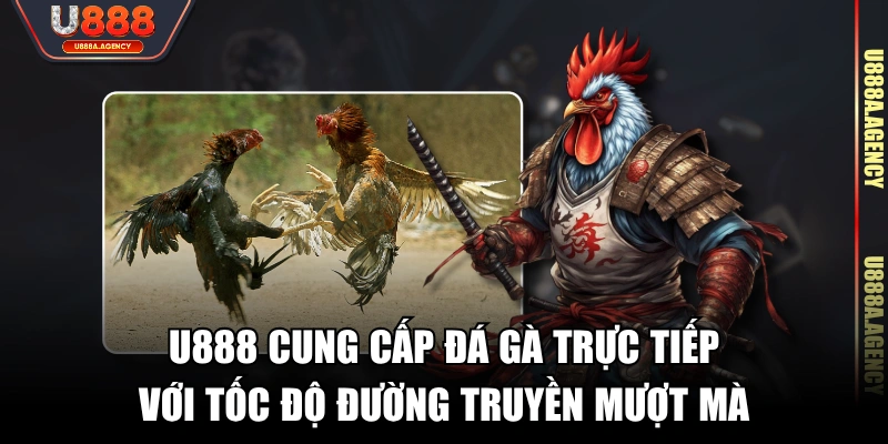 U888 cung cấp đá gà trực tiếp với tốc độ đường truyền mượt mà